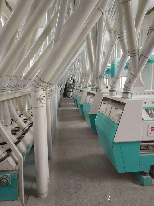 梁山縣新豐面粉廠 誠邀全國經(jīng)銷商，共拓勞動保護用品銷售新藍海